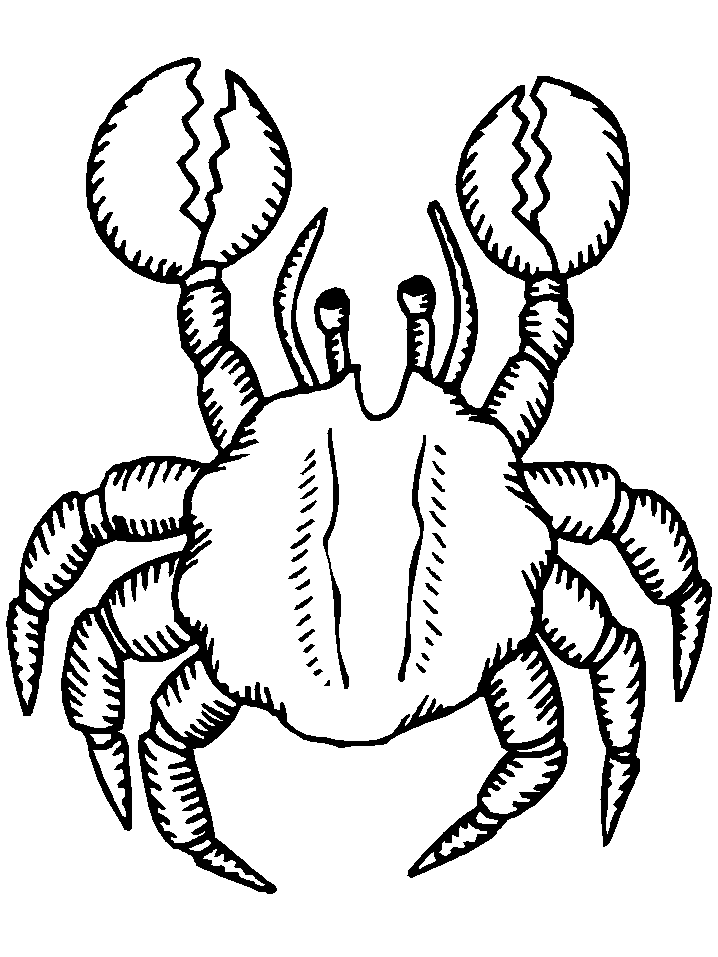 Printable Crab Coloring Pages