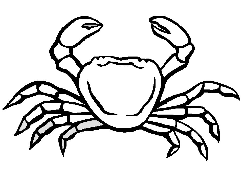 Spider Crab Coloring Page