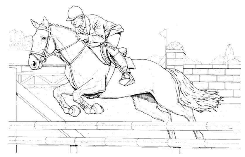 cross country jumping horse coloring pages