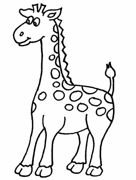 cute baby giraffe coloring page