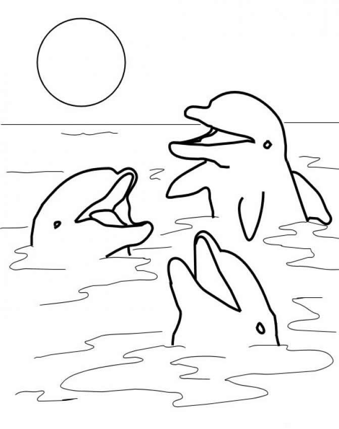 Cute Dolphins Coloring Pages