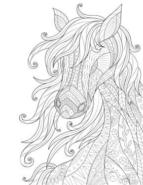 Cute Horse Coloring Pages Difficult & book for kids.