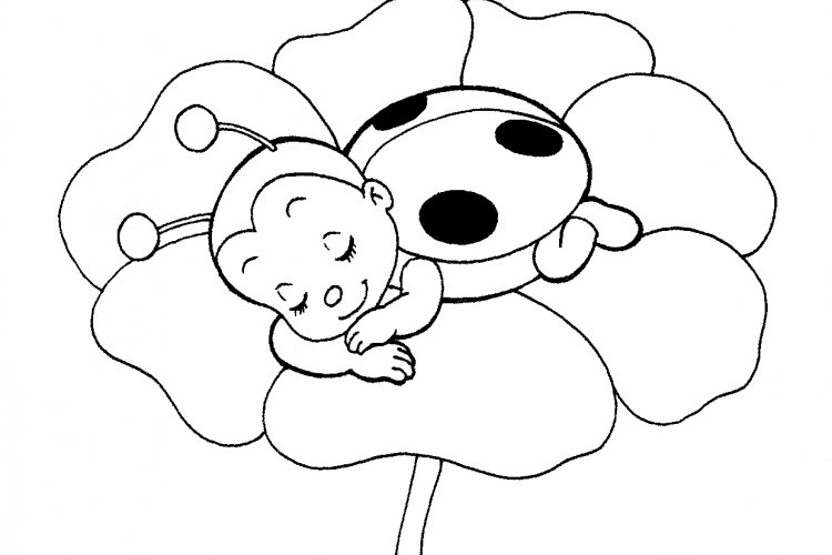 cute ladybug coloring page