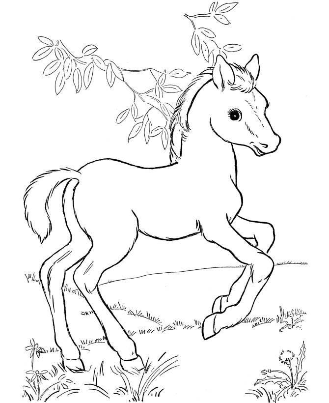 cute printable horse coloring pages