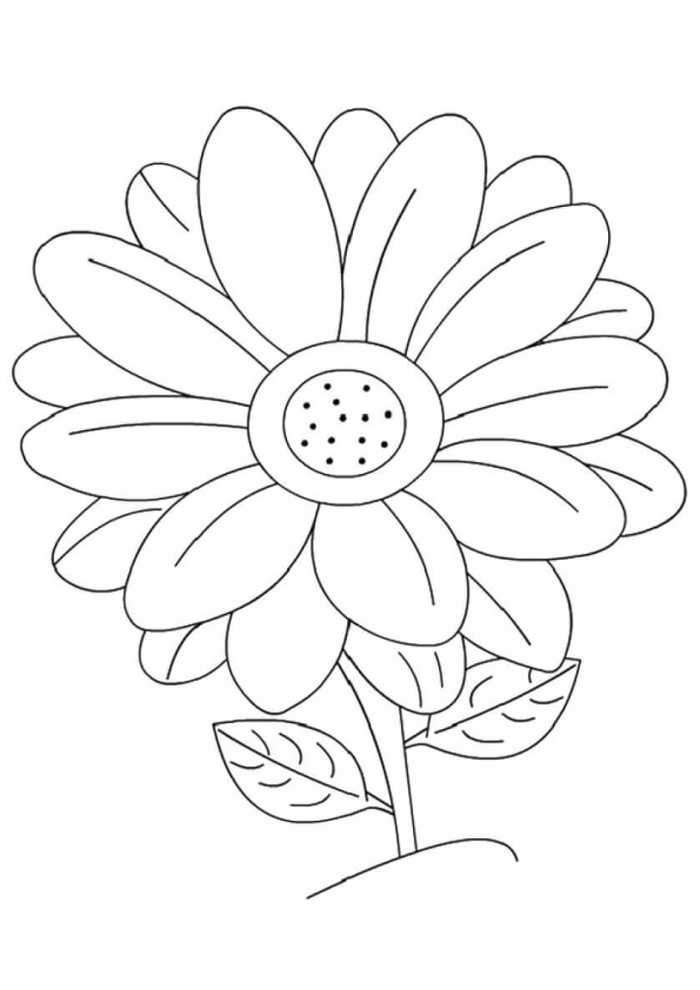 daisy flower coloring pages