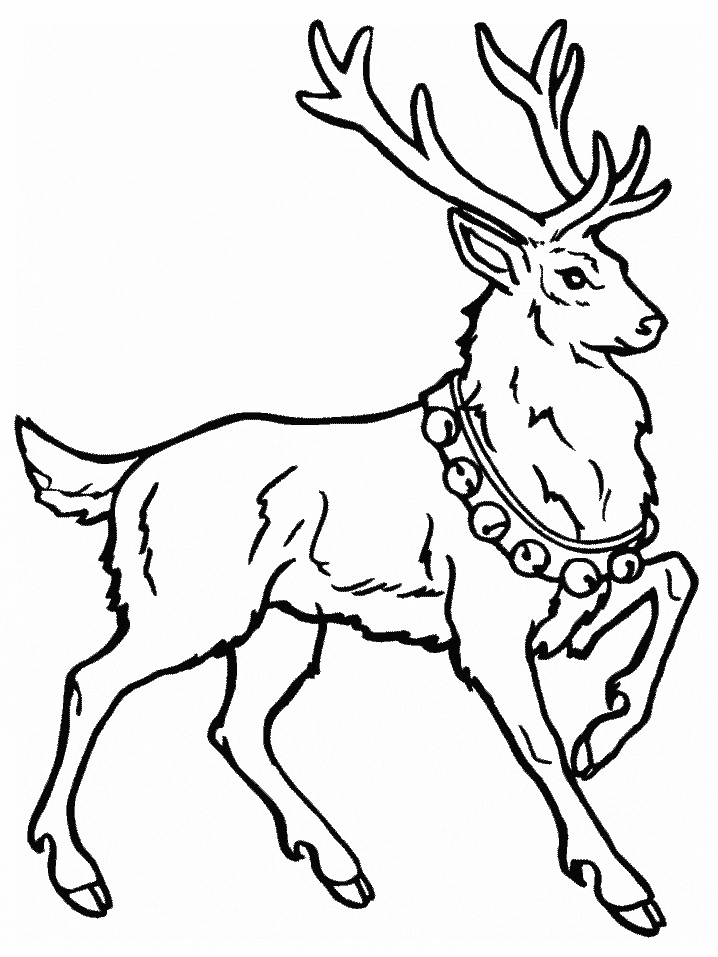 Deer Coloring Pages