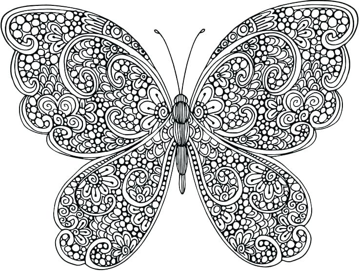 detailed butterfly coloring pages