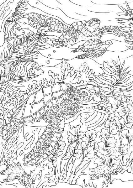 Detailed Coloring Pages Water