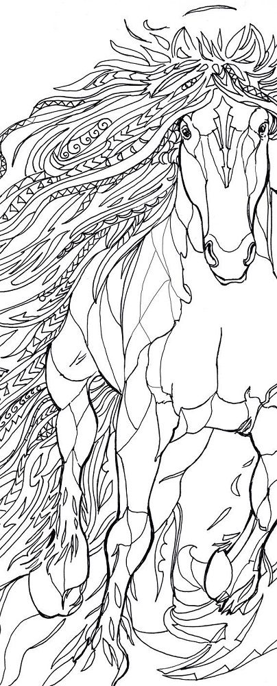detailed horse coloring pages for adults
