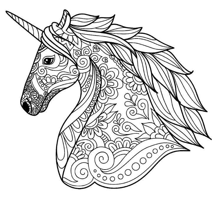 detailed unicorn coloring page