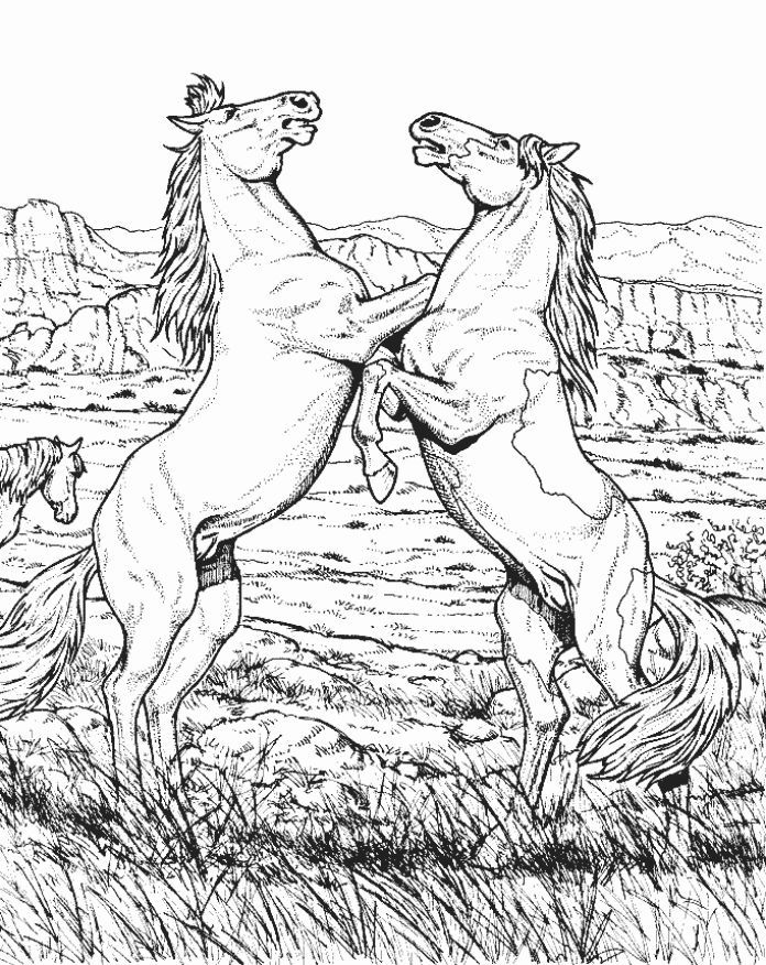detailed wild horse coloring pages