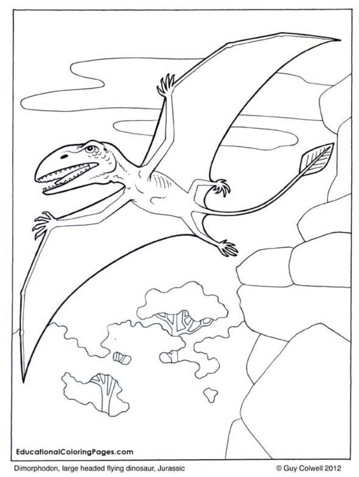 Dimorphodon dinosaur coloring page
