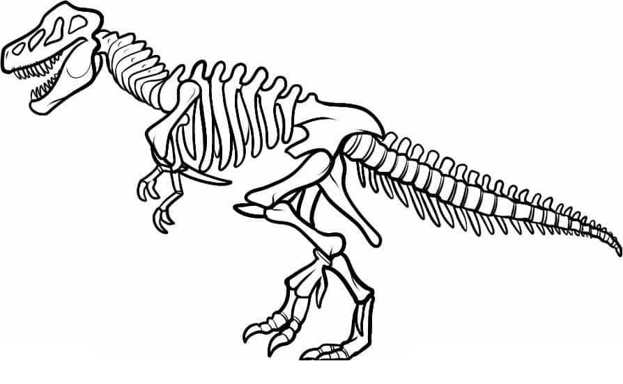 dinosaur bones coloring pages