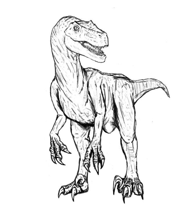 dinosaur-coloring-pages-raptor