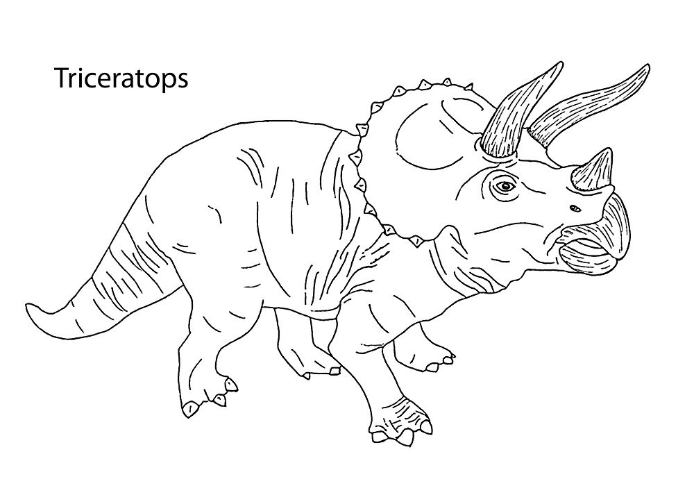dinosaur coloring pages triceratops