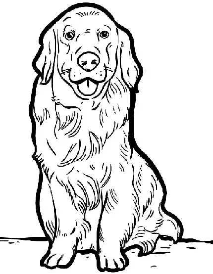 dog coloring pages printable