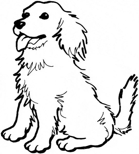 dog coloring pictures