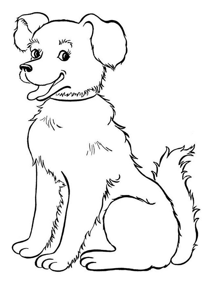dog pictures to color