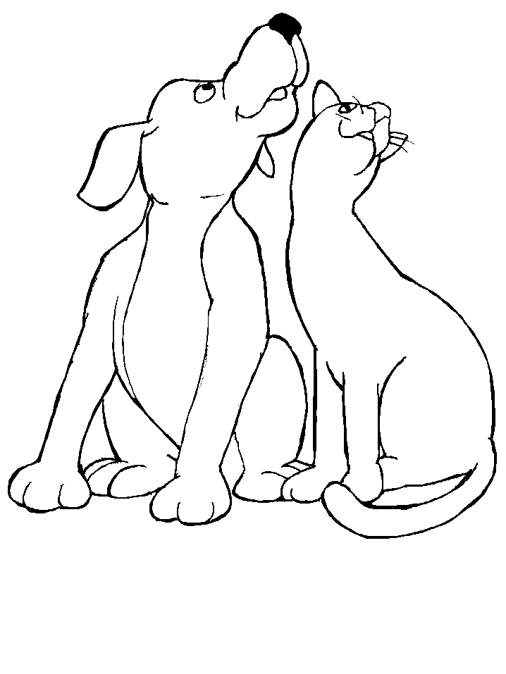 Cat and Dog Coloring Pages