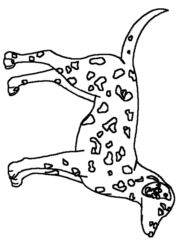 Dog Coloring Pages Realistic