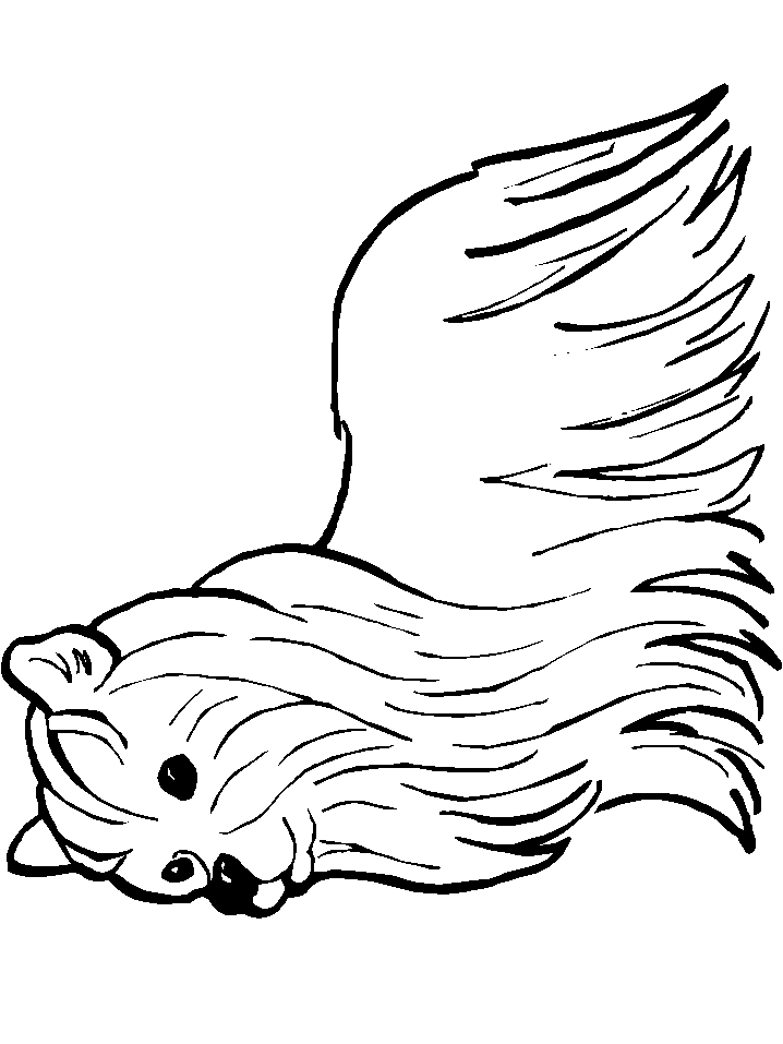 Dog Coloring Pages Printable Free