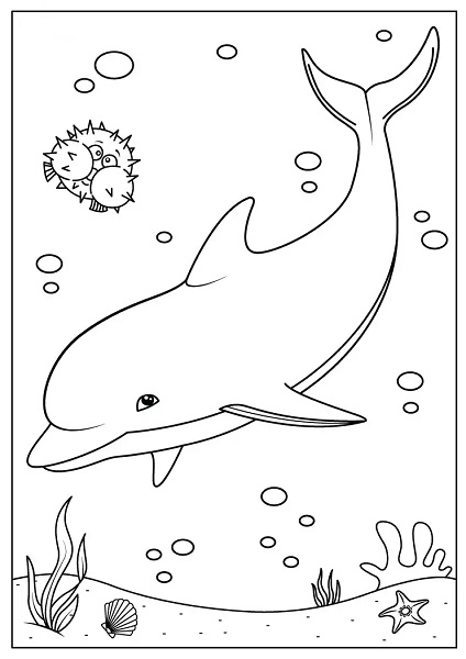 Dolphin Coloring Page Free