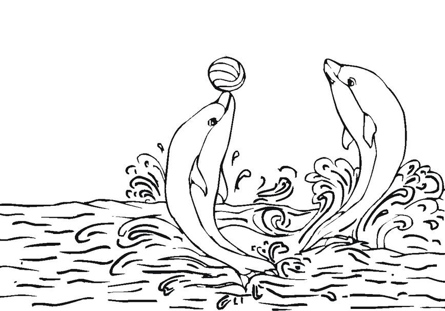 Dolphins coloring page
