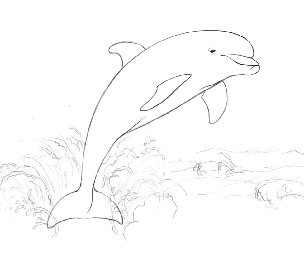 dolphin jumping out of the water coloring pages