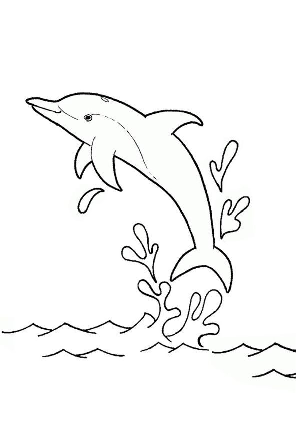 dolphin jumping out of water coloring pages