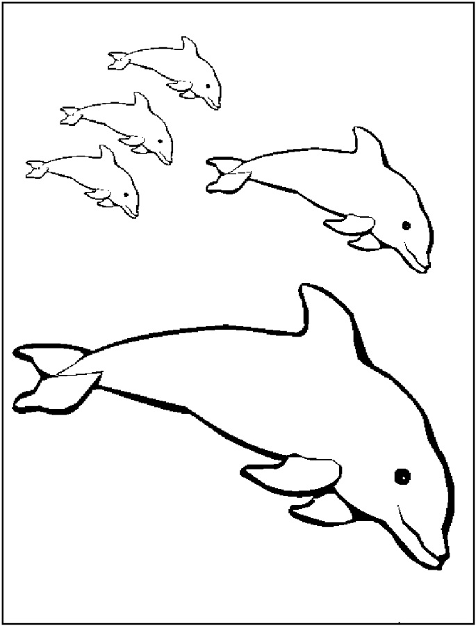 Dolphins Coloring Page