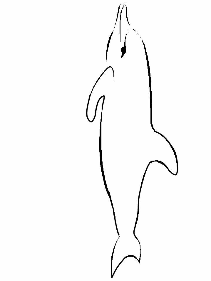 Simple Dolphin Coloring Pages