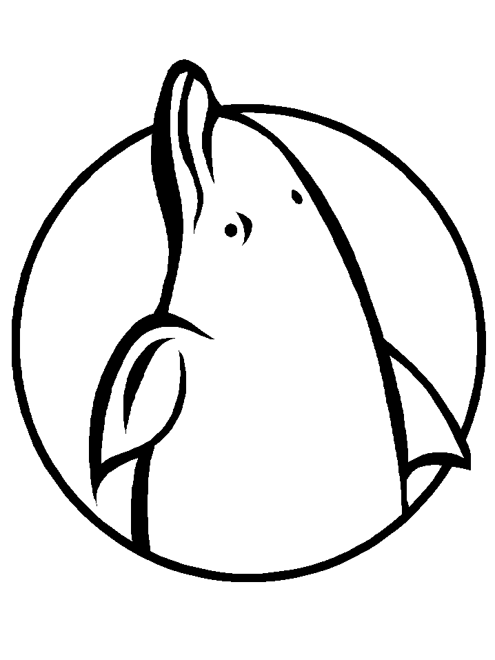 Dolphins Head Coloring Pages