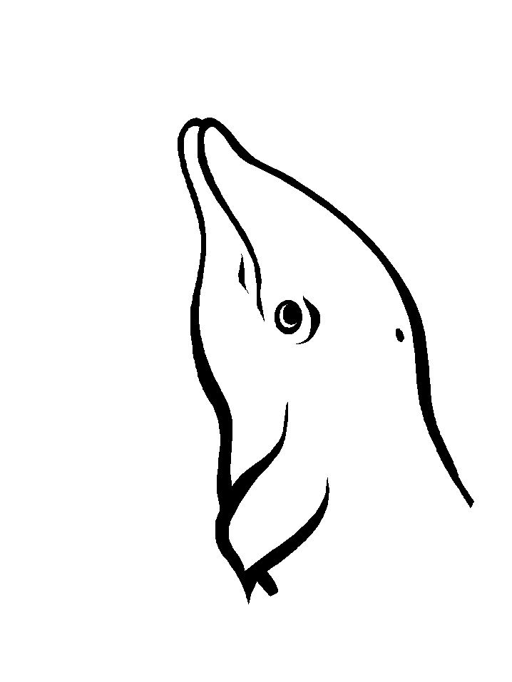 Dolphin Head Coloring Pages