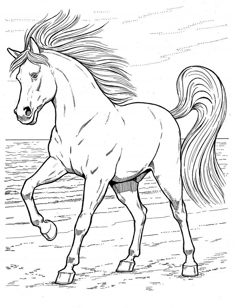 dover horse coloring pages