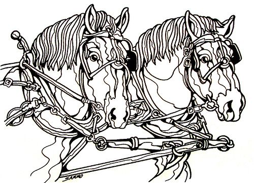 draft horse coloring pages