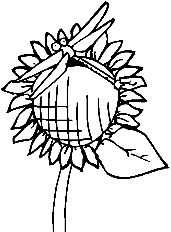 Dragonfly on flower coloring page