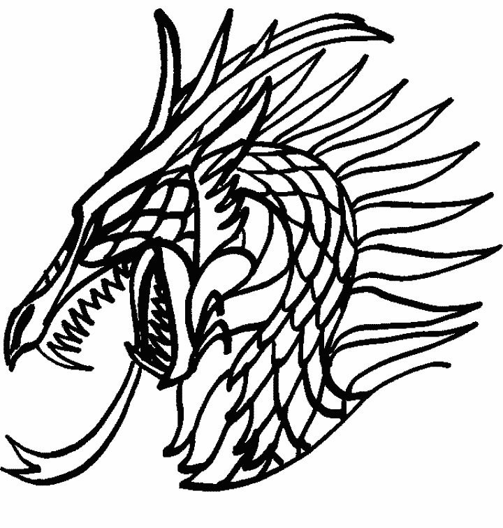 Detailed Dragon Head