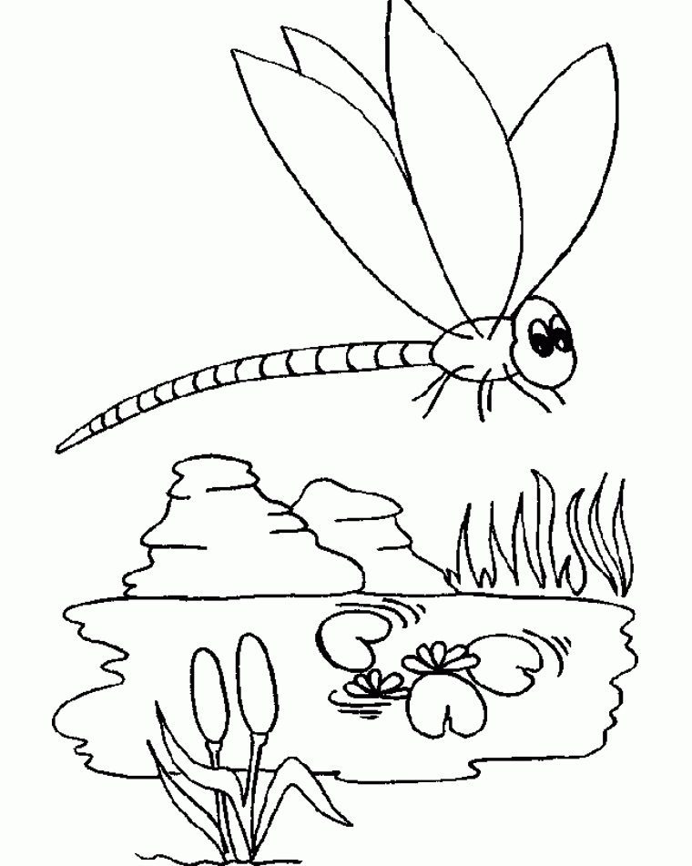 drgonfly-water bug coloring pages