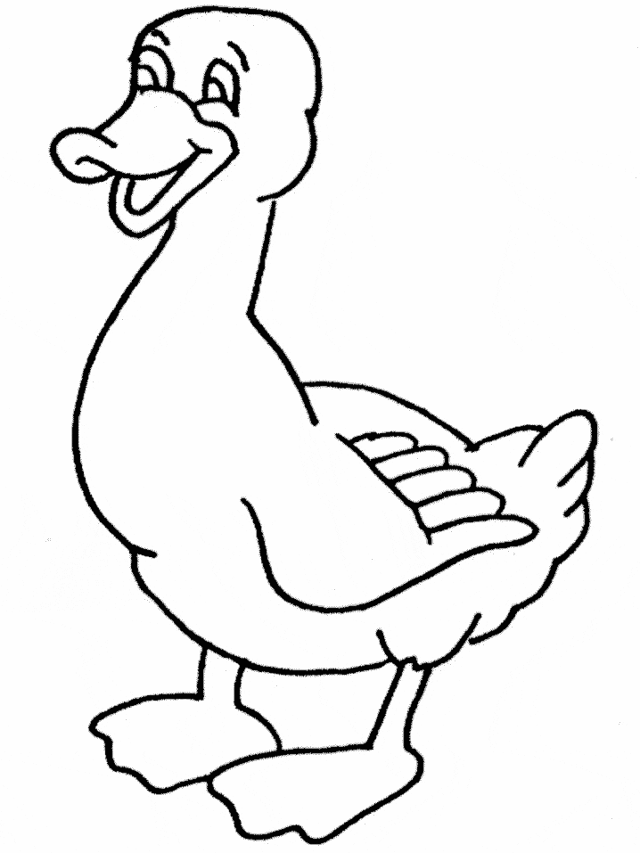Ducks Coloring Page