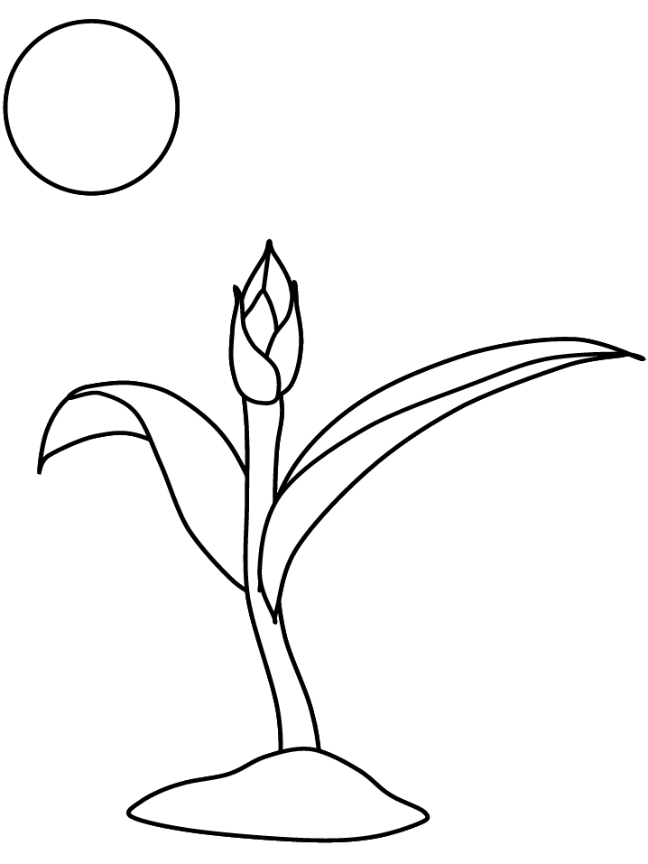 Earth Photosynthesis Coloring Page