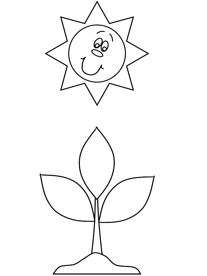 Earth Photosynthesis Coloring Pages