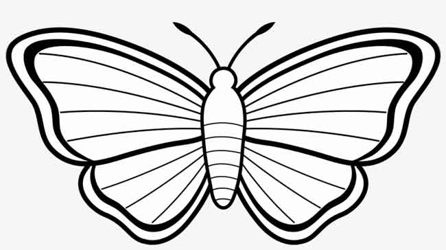 easy butterfly coloring pages for adults