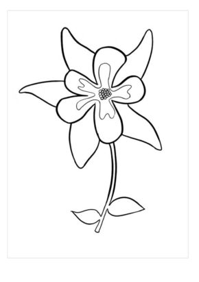 Columbine Flowers Coloring Pages & coloring book.