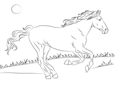 easy to trace wild horse coloring pages