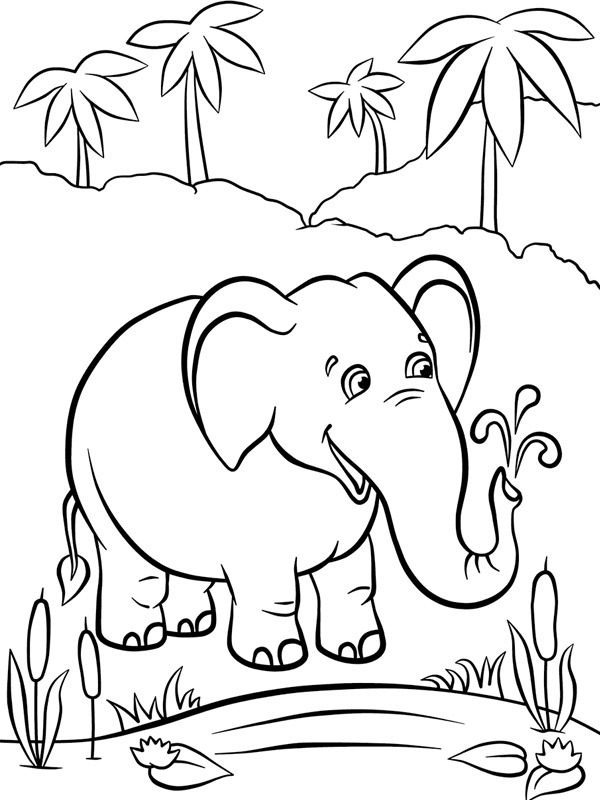 elephant and water coloring pages