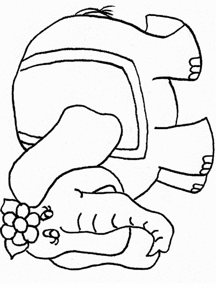 Elephant Animals Coloring Pages