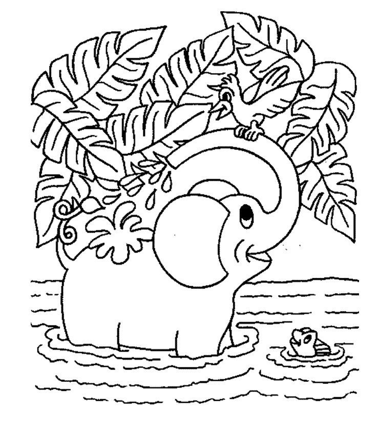 elephant spraying water coloring pages