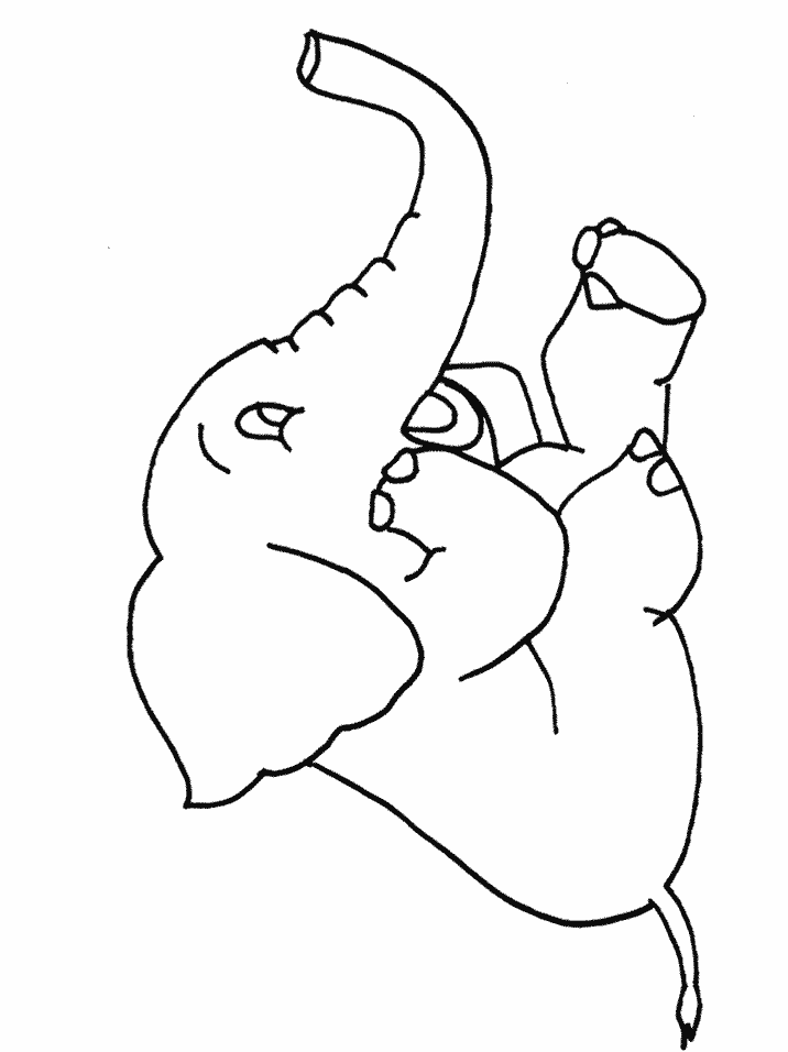 Cute elephant Coloring Pages