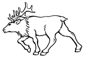 Elk coloring page