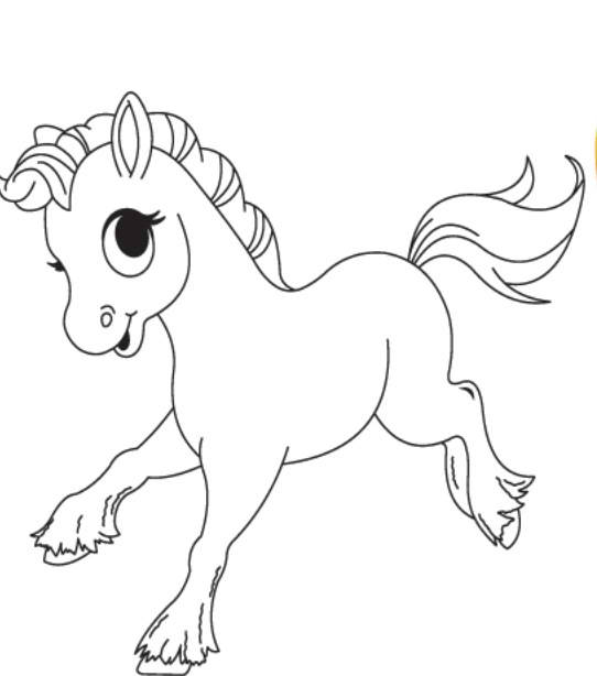 Exclusive Baby Horse Coloring Pages